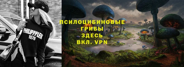 кокаин премиум Алексеевка