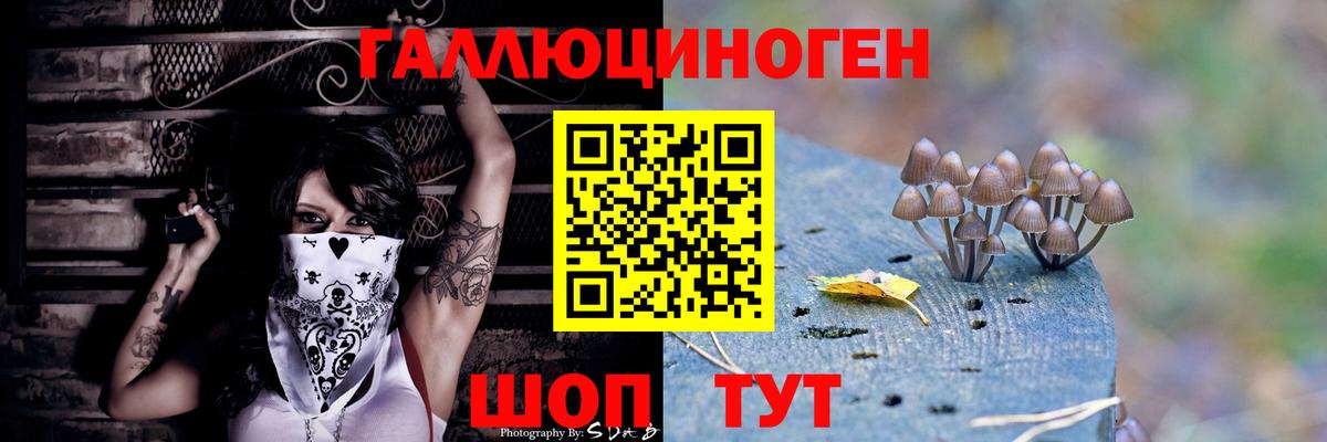 Галлюциногенные грибы Magic Shrooms  Вход с VPN  Курганинск 