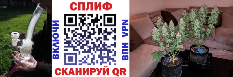Бошки марихуана тримм  ОМГ ОМГ вход  Курганинск 